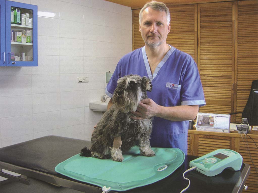 Hund auf dem Lumina Vet in einer Tierarztpraxis